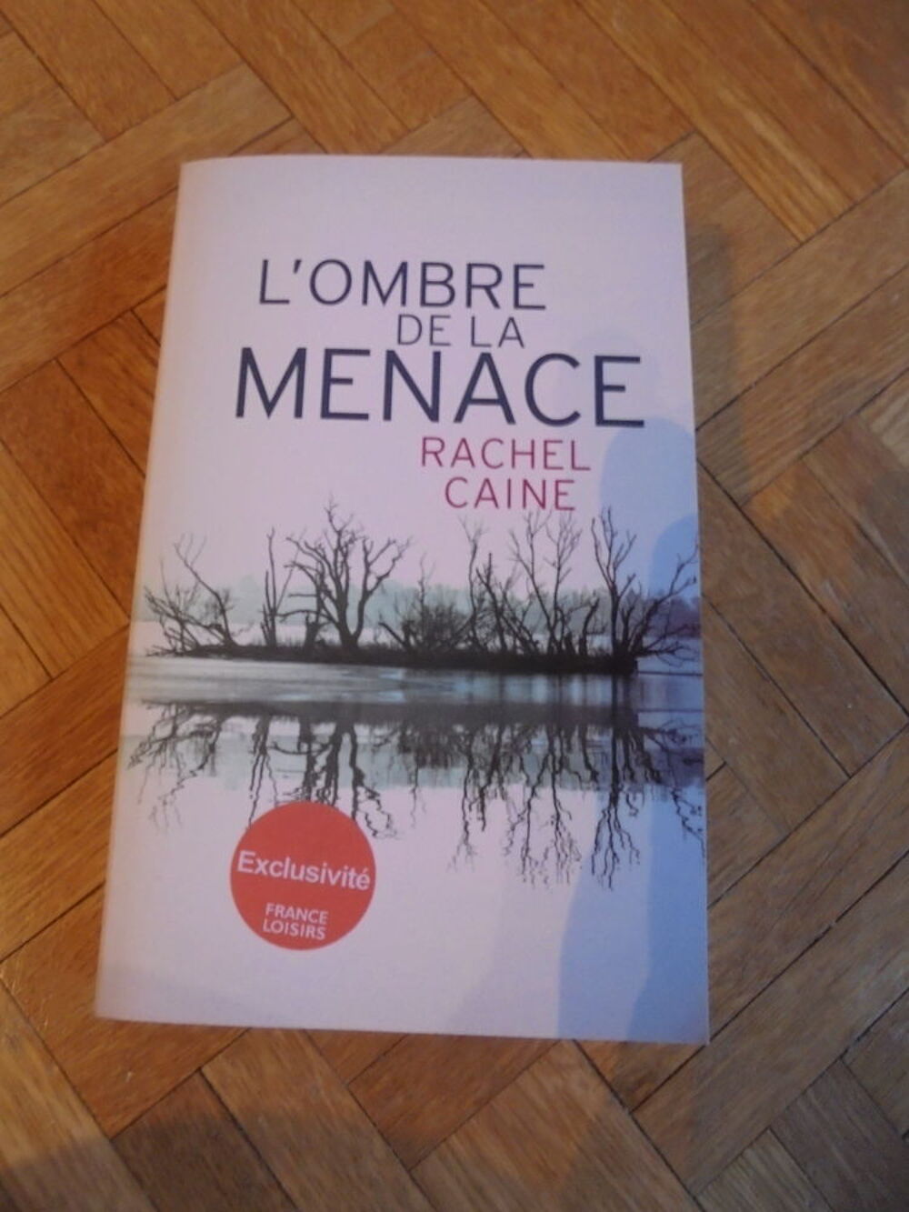 L'ombre de la menace (87) Livres et BD