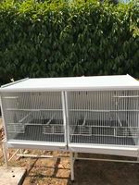   Cage élevage TERENZIANI 