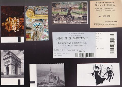 Lot 11 tickets d'entrée châteaux, sites français & irlandais 2 Ervy-le-Châtel (10)