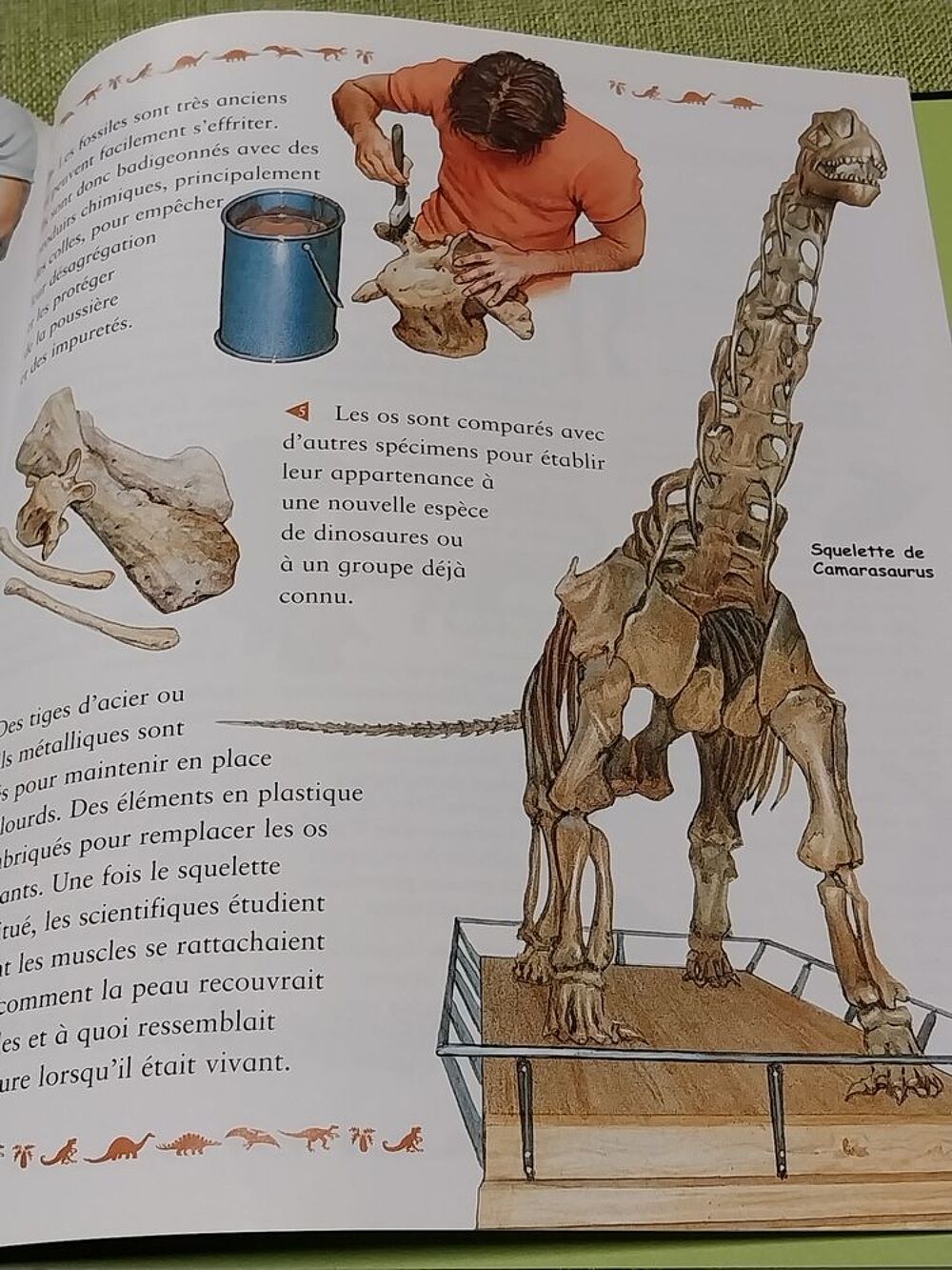Dinosaures livre l'univers fascinant des animaux Christopher Livres et BD