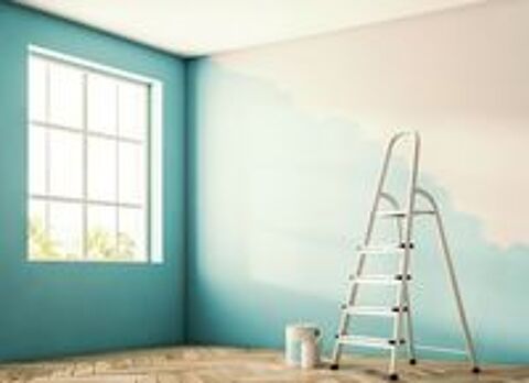   TRAVAUX PEINTURE & PROJETS RENOVATION 