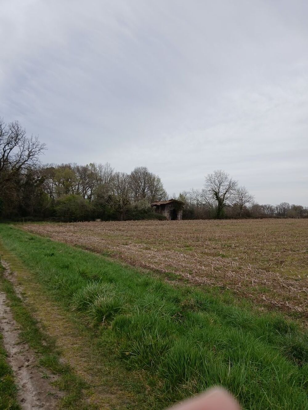 Vente Terrain Terrain de loisirs avec séchoir à restaurer Saint-côme