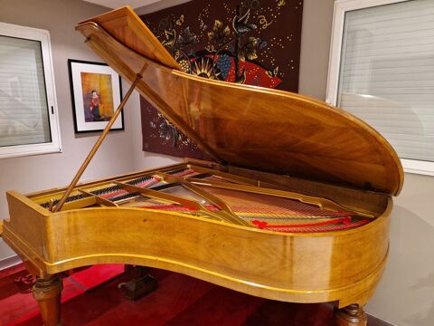 Piano 1/2 queue PLEYEL 1913, R�nov�, Tr�s bon �tat 9000 Valence (26)