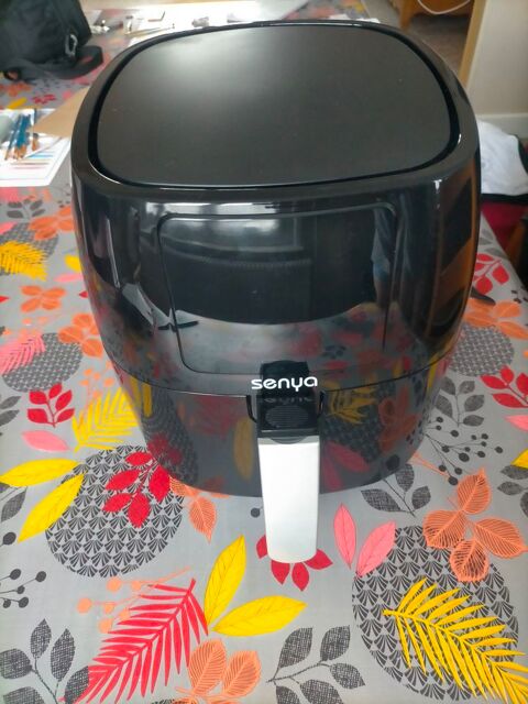 Friteuse air fryer 45 Albert (80)
