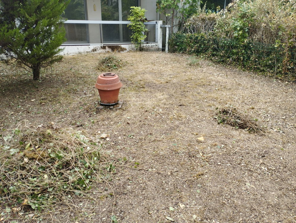 Location Appartement Appartement 2 pièces 50m2 avec terrasse et jardin privé Fontainebleau