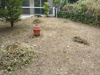  Appartement à louer 2 pièces 50 m²