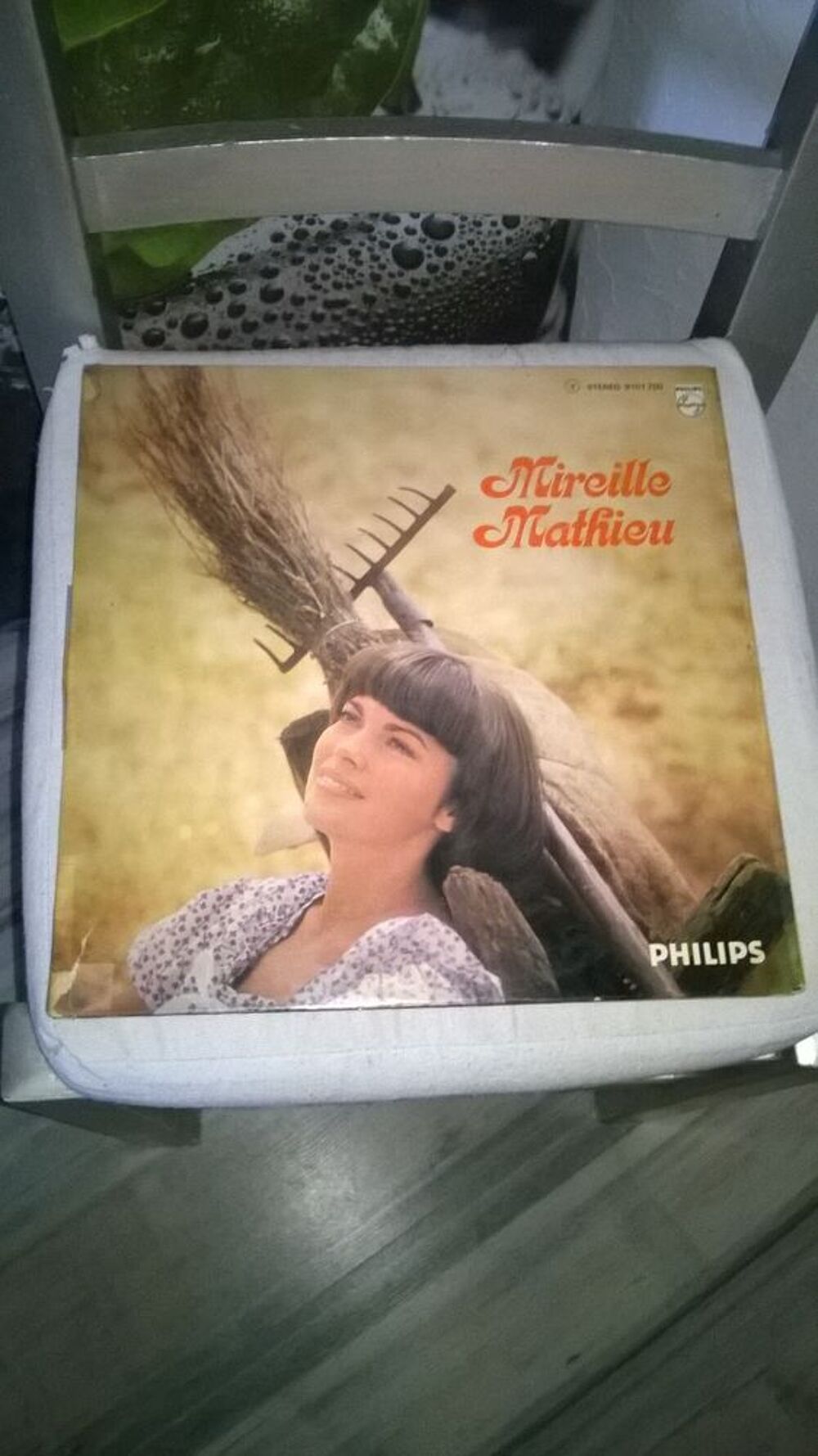 Vinyle Mireille Mathieu
Le Vent De La Nuit
1974
Excellent CD et vinyles