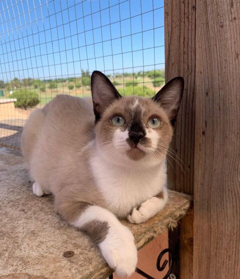 NEWT 230 27620 Gasny