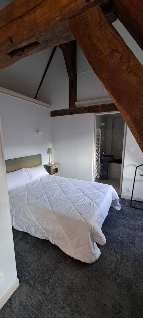   Studio meublé 16.50 m² en hypercentre ? Hôtel Particulier  Appartement - 1 pièce(s) - 17 m²