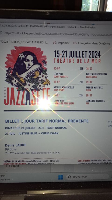 Concert Chris izaak dimanche 21. 7 60 Ste (34)