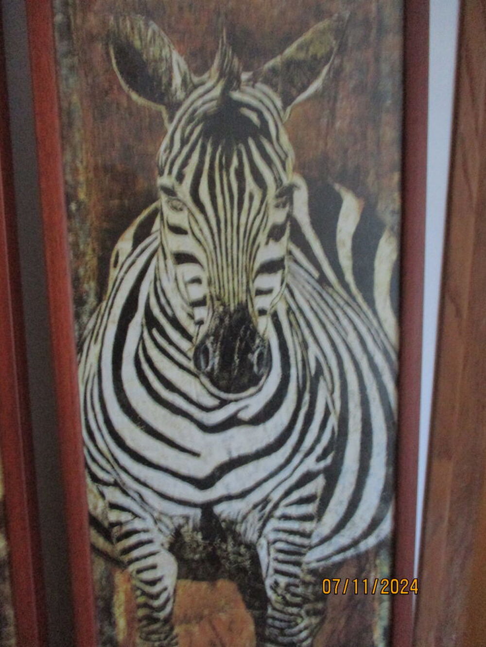 Tableaux z&egrave;bre et girafe Décoration