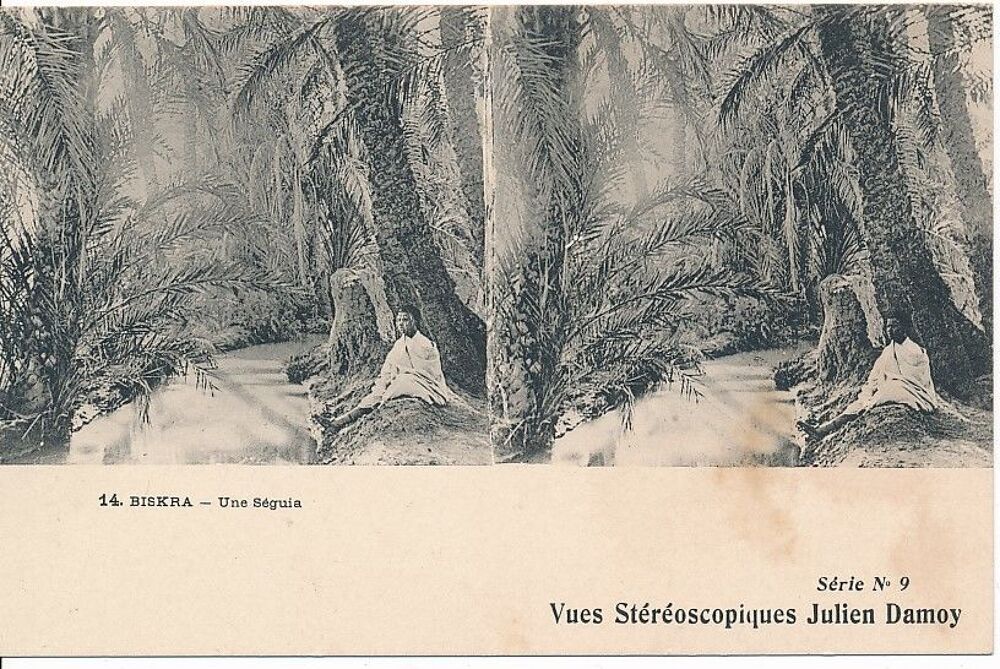ALG&Eacute;RIE BISKRA CPA ST&Eacute;R&Eacute;O JULIEN DAMOY Cartes Postales 