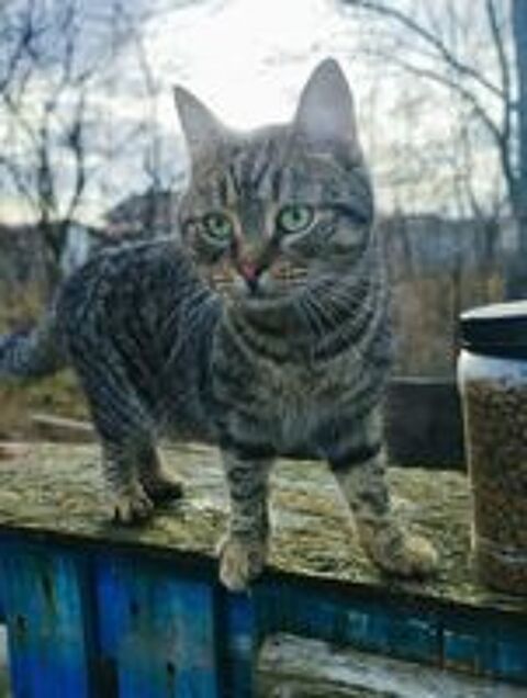   O'MALLEY 