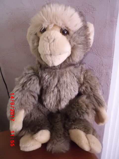 SINGE AUX NATIONS 18 Oignies (62)