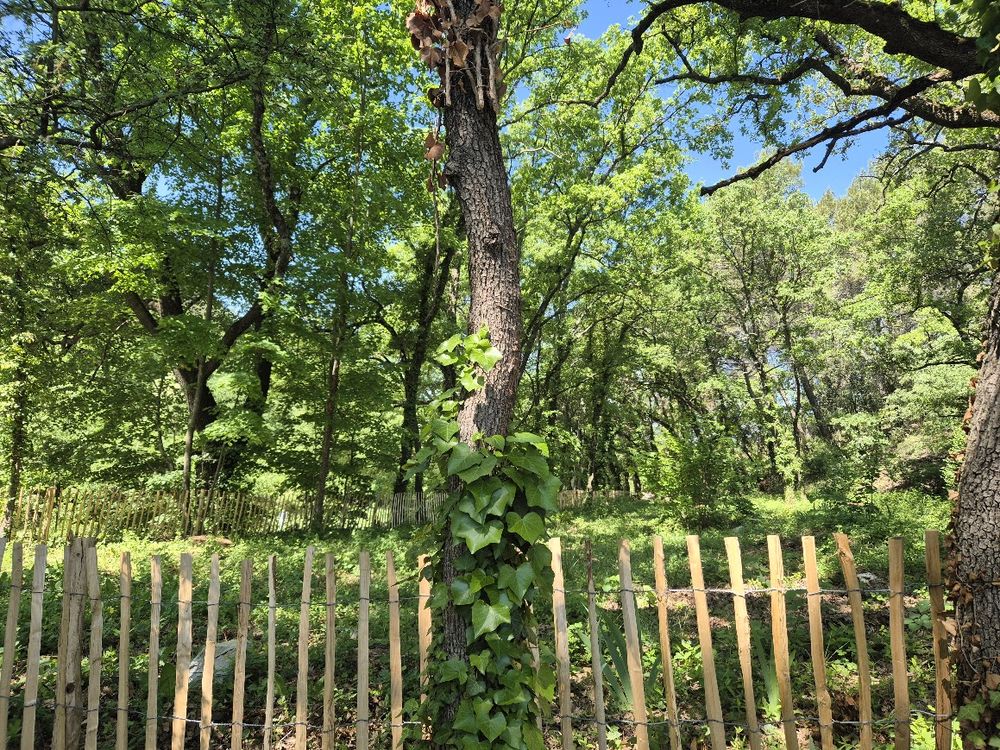Vente Terrain ENTRECHAUX (84)  Terrain d'exception 1 159 m². 175000  euros Entrechaux