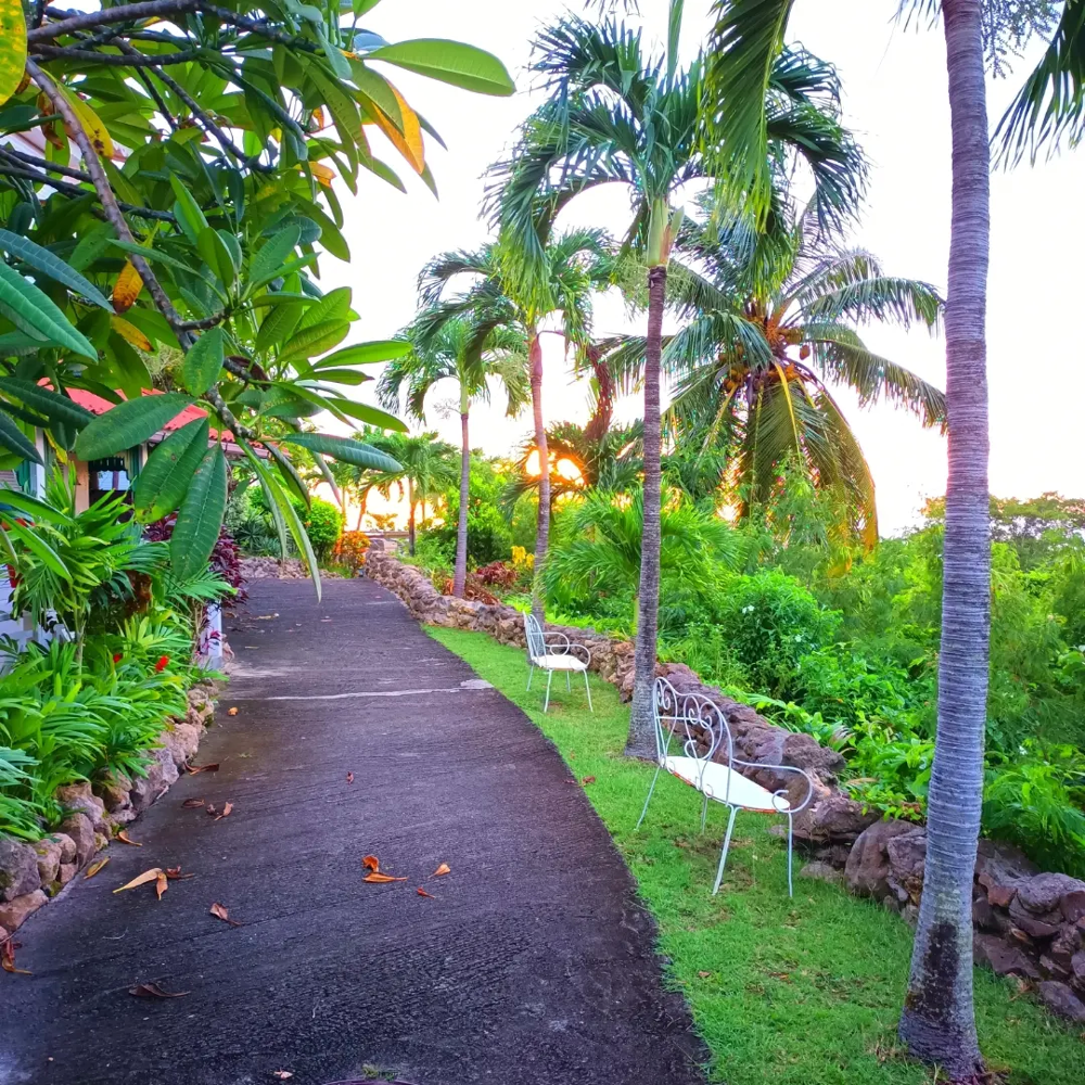   VUE SUR LA BAIE A 360 DEGRES DOM-TOM, Sainte-Anne (97227)