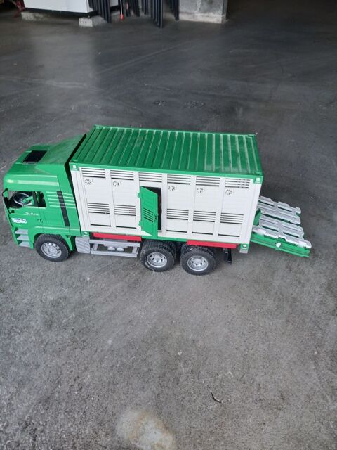 CAMION ET PETITS ANIMAUX Saint-Martin-de-Bernegoue (79)