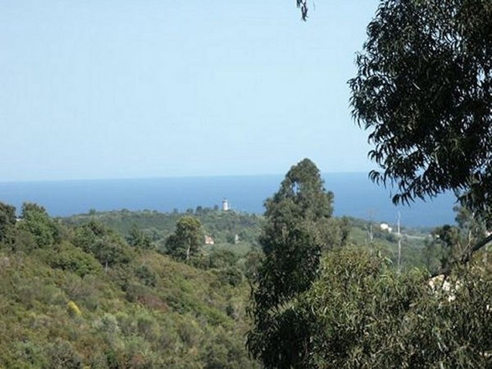   Chalet en pleine nature, 5Km des plages Corse, Canale-di-Verde (20230)