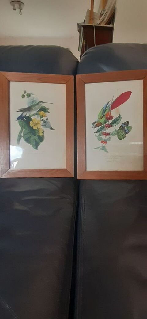 jolis tableaux 20 zanville (95)