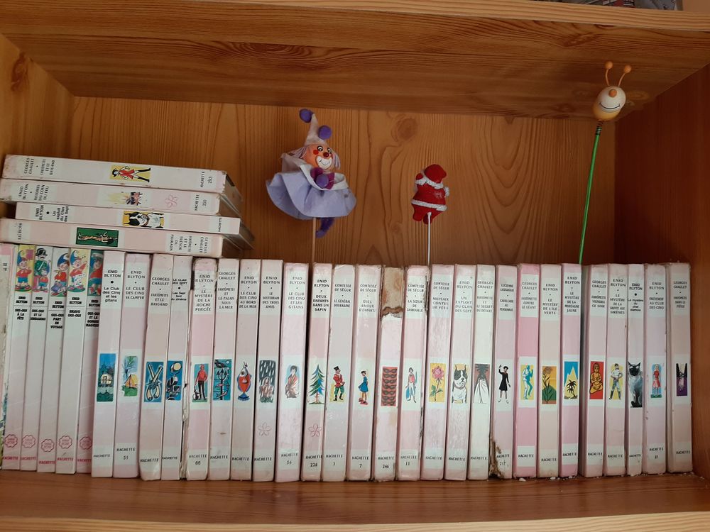 LIVRES BIBLIOTHEQUE ROSE Livres et BD