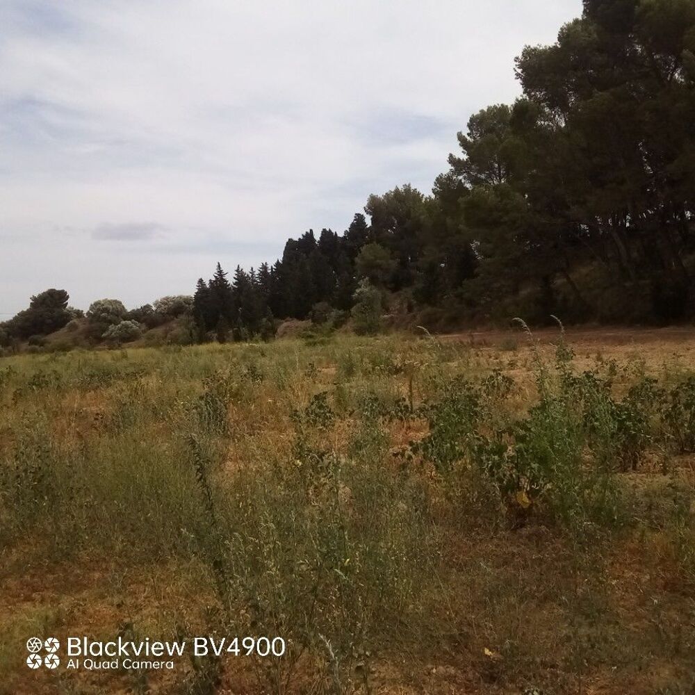Vente Terrain Terrains agricoles Castelnau-d'aude