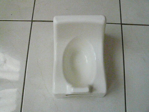 Pot de toilette pour bb 4 Franqueville-Saint-Pierre (76)