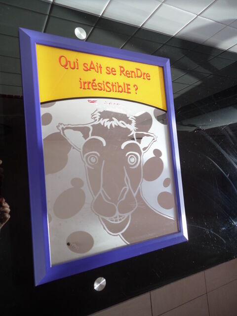 Cadre Bois/Miroir 44 x 34 cm - Camel Collector Ann�es 2000
20 B�ziers (34)