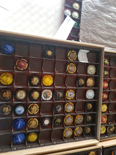 Collection de capsules d champagne 0 Fréjus (83)