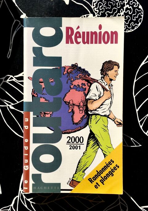 R�UNION - Guide du Routard, 288 pages ; �tat neuf 2 L'Isle-Jourdain (32)