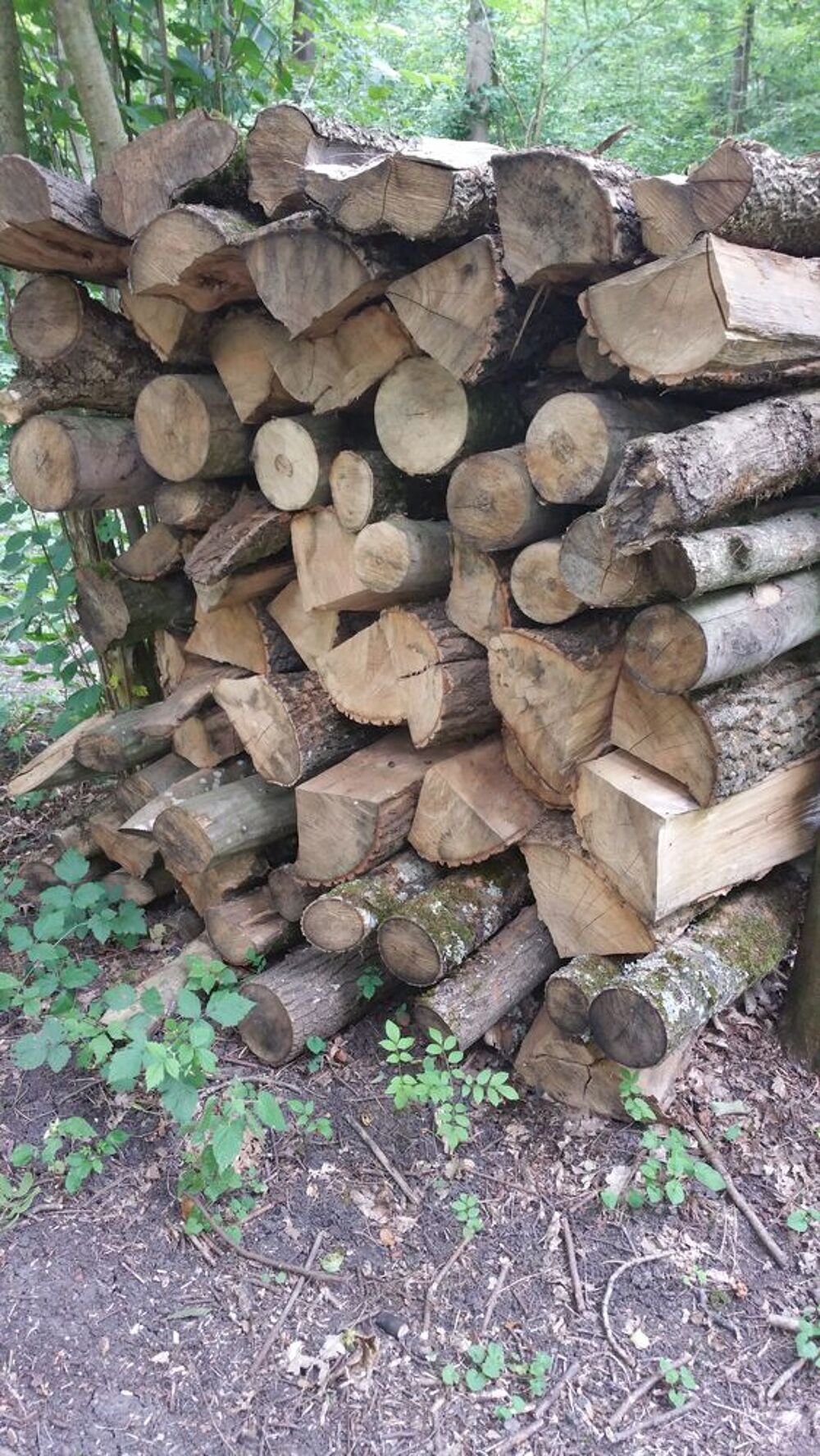 Bois de chauffage Bricolage