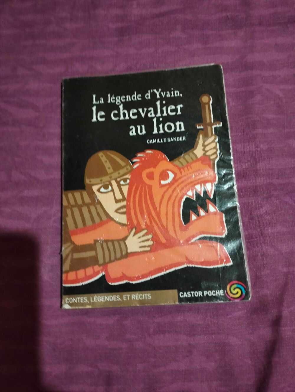 le chevalier au lion Livres et BD