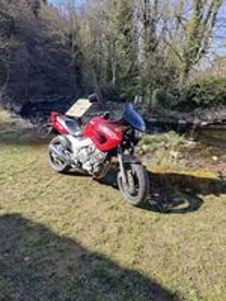 YAMAHA 1998 occasion 43140 La S&eacute;auve-sur-Sem&egrave;ne