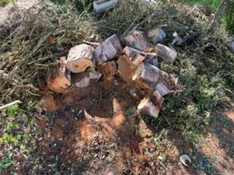 donne bois de chauffage 0 Carmaux (81)