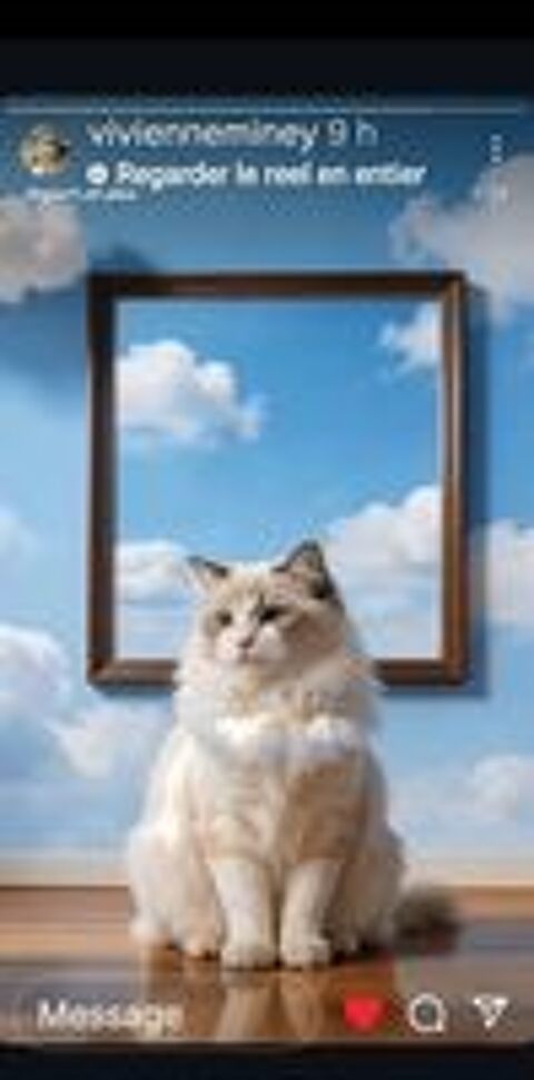   Visites votre chat ou chien 