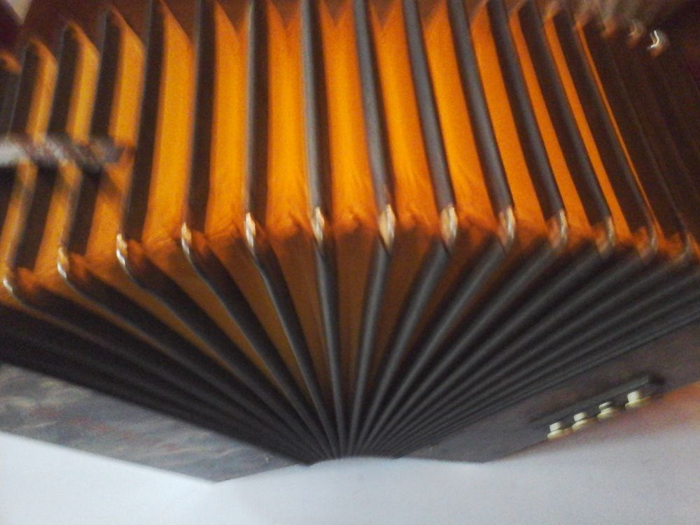 accordeon diatonnique
Instruments de musique