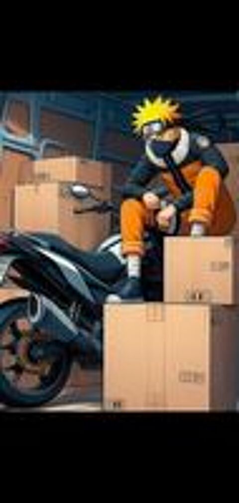   transport et dmnagement particulier 