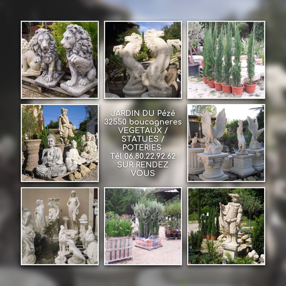 CYPRES SEMPERVIRENS TOTEM Jardin
