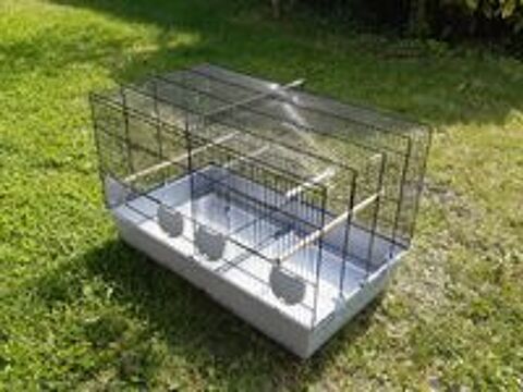   cages oiseaux 