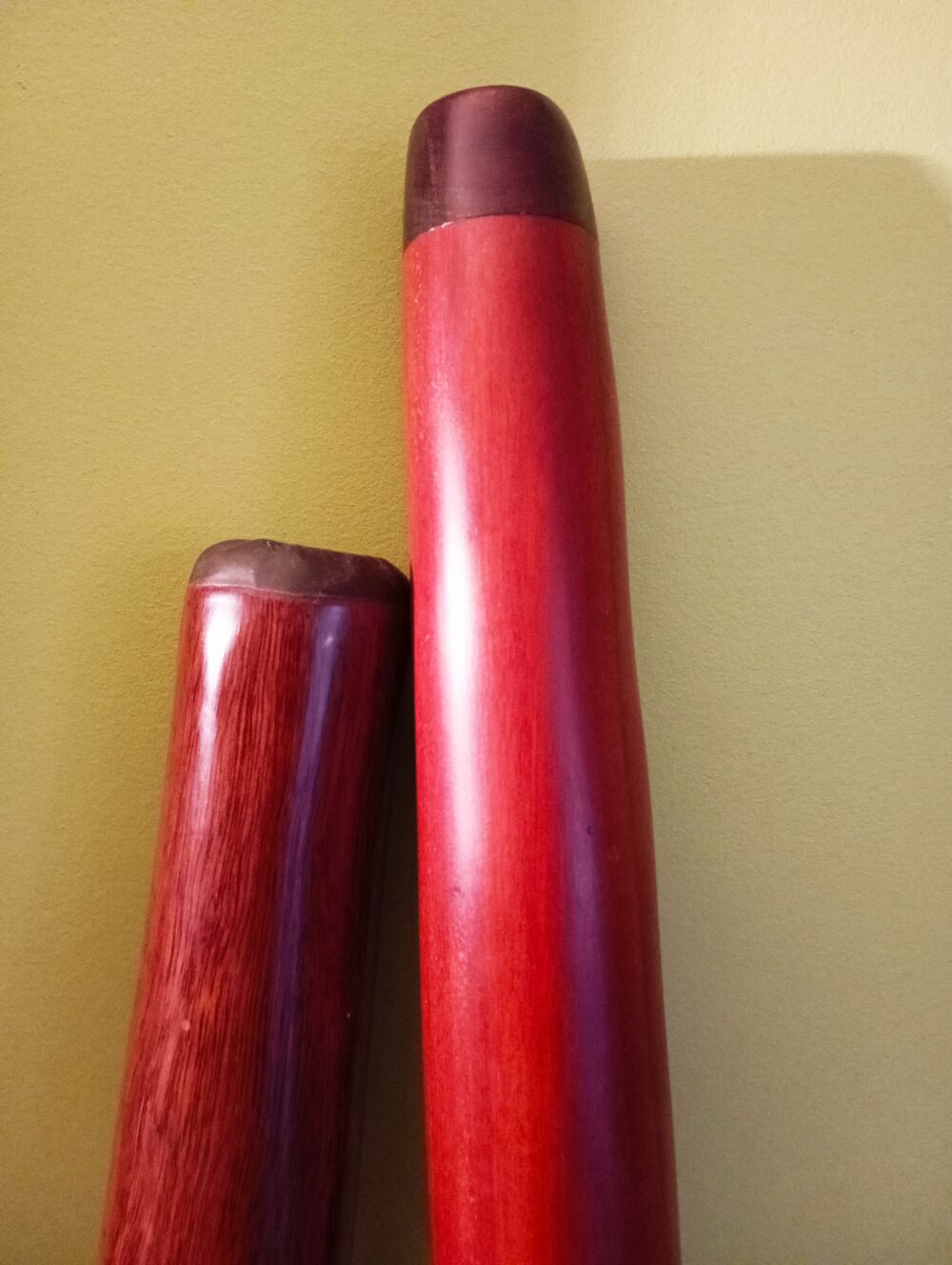 2 Didgeridoos Haut de gammes Instruments de musique