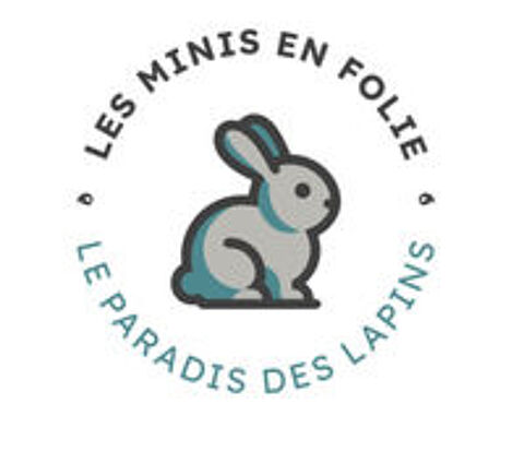  Divers lapin de tout ges et de toute race  