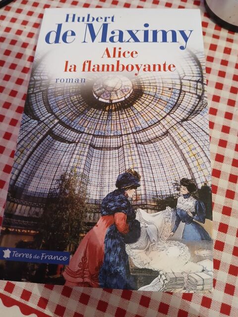 LIVRE ALICE LA FLAMBOYANTE 10 Triel-sur-Seine (78)