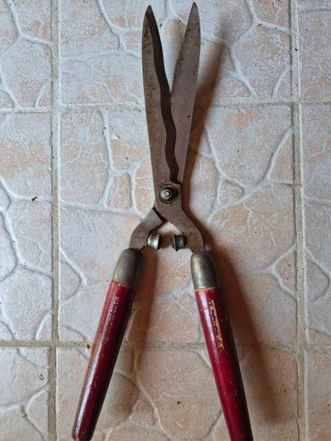 Outil pour taille arbres Vannes (56)