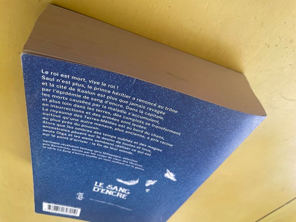 Le Sang D'encre - Tome 2 - Nena Labussi&egrave;re _ Livres et BD