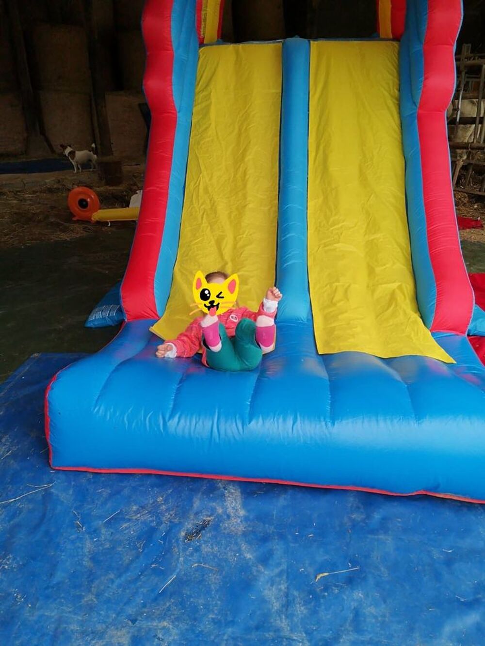 Ch&acirc;teau gonflable Happy Hop avec double piste de toboggan Jeux / jouets
