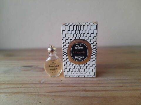 Miniature de Parfum 10 Trouy (18)