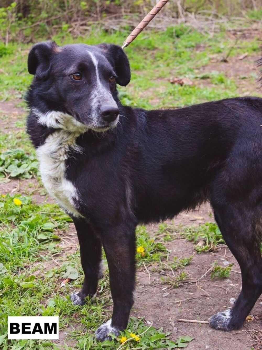   BEAM SE TROUVE DANS UN REFUGE EN UKRAINE 