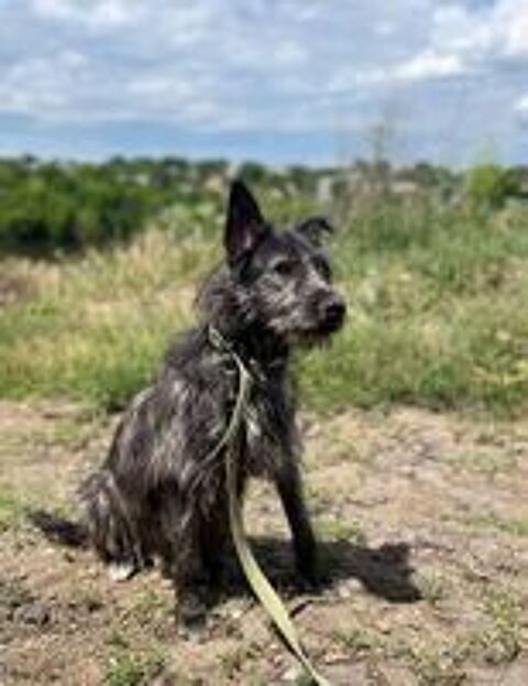   BOUBA SE TROUVE DANS UN REFUGE EN UKRAINE 