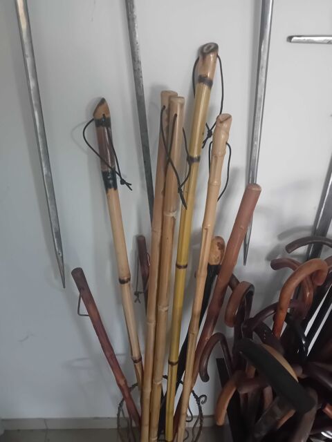 btons pour champignons ou randonne 30 Montpon-Mnestrol (24)