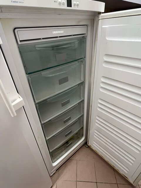 �  vendre deux cong�lateurs Liebherr en tr�s bon �tat 600 Paris 16 (75)