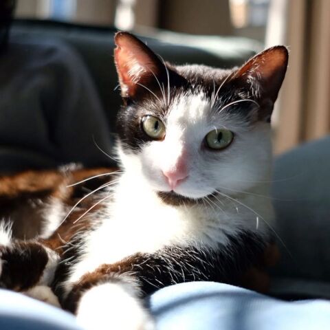 DENISE 240 92400 Courbevoie